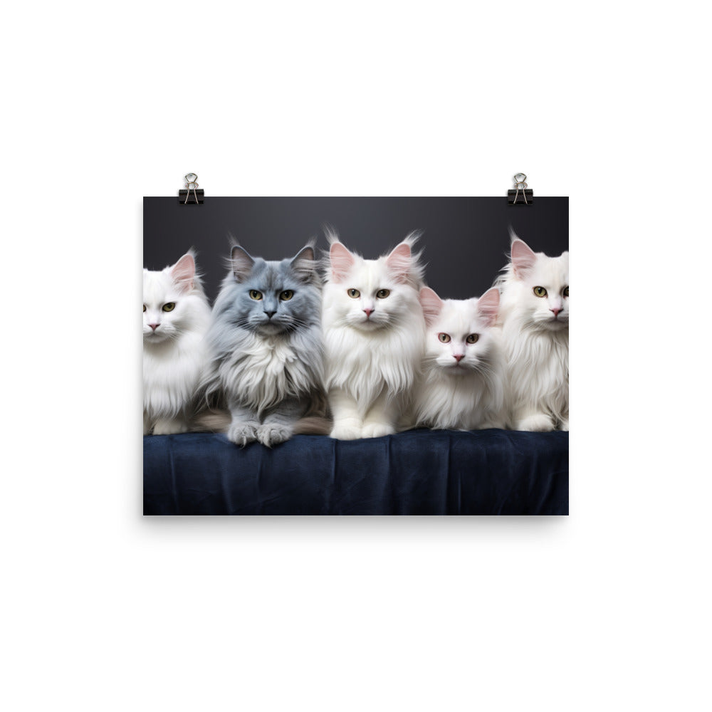 Turkish Angora Photo paper poster - PosterfyAI.com