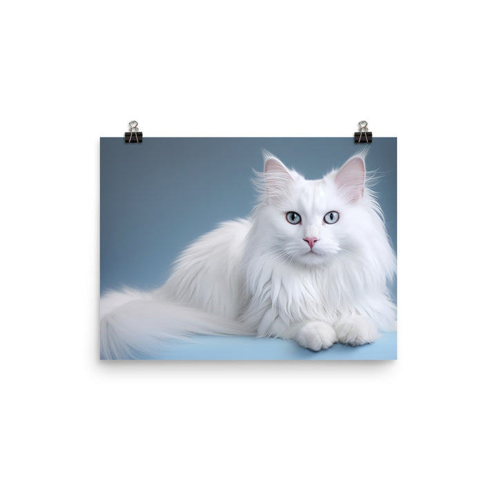 Turkish Angora Photo paper poster - PosterfyAI.com