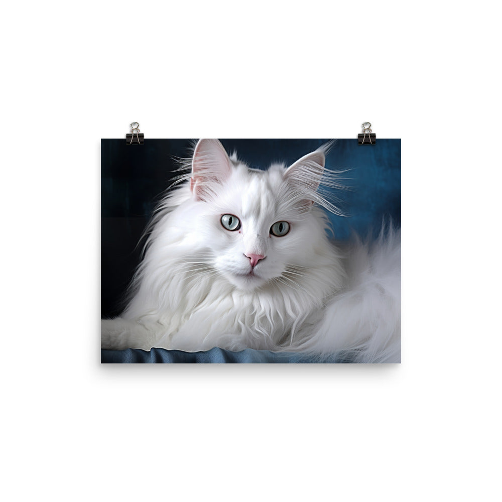 Turkish Angora Photo paper poster - PosterfyAI.com