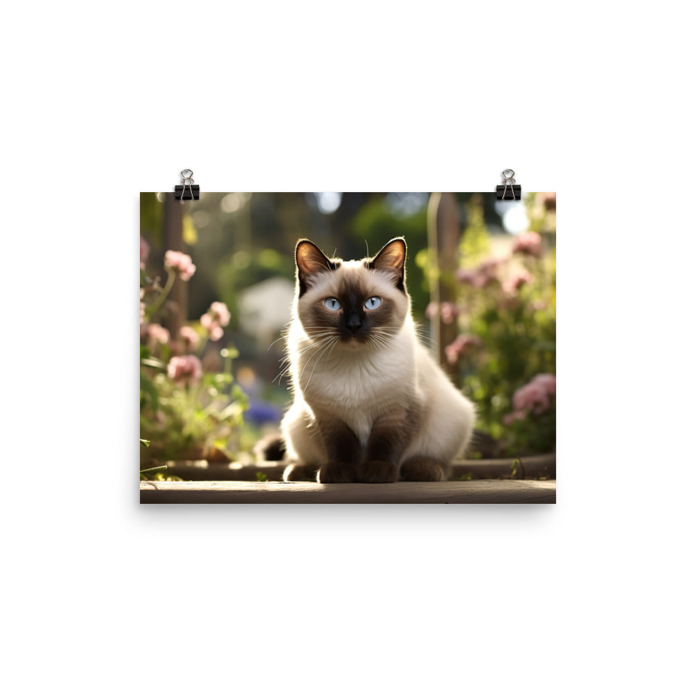 Siamese Photo paper poster - PosterfyAI.com