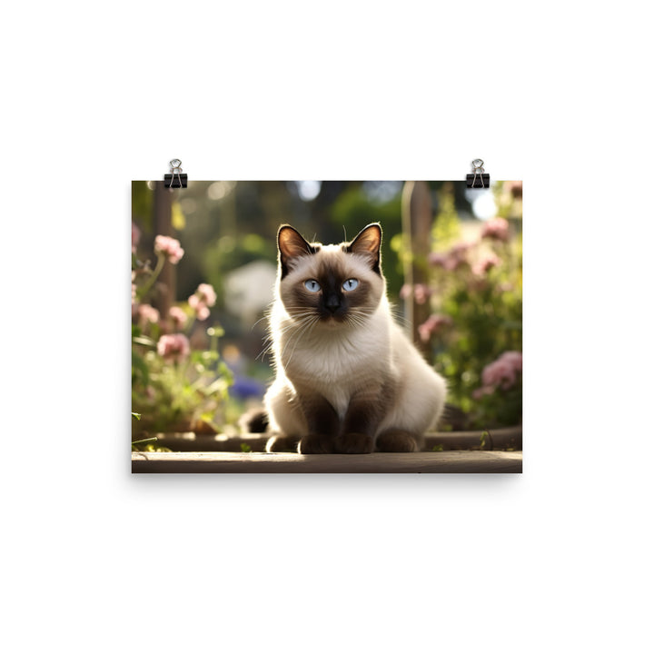 Siamese Photo paper poster - PosterfyAI.com