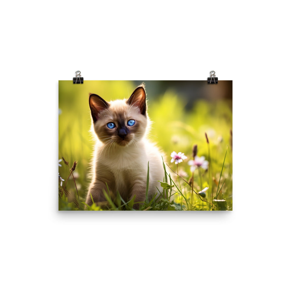 Siamese Photo paper poster - PosterfyAI.com