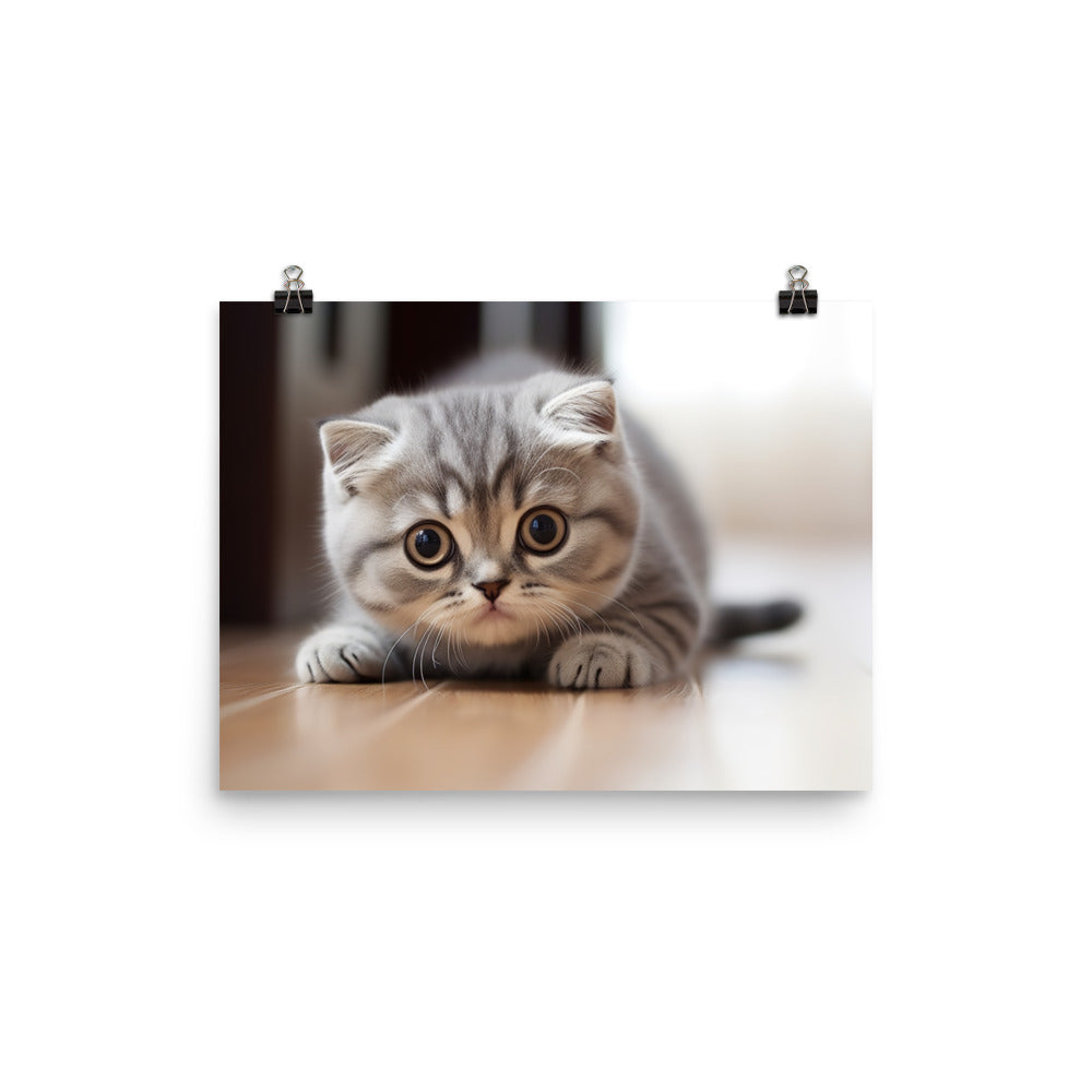 Scottish Fold Photo paper poster - PosterfyAI.com