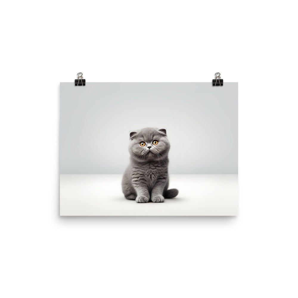 Scottish Fold Photo paper poster - PosterfyAI.com