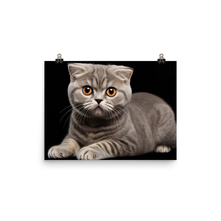 Scottish Fold Photo paper poster - PosterfyAI.com