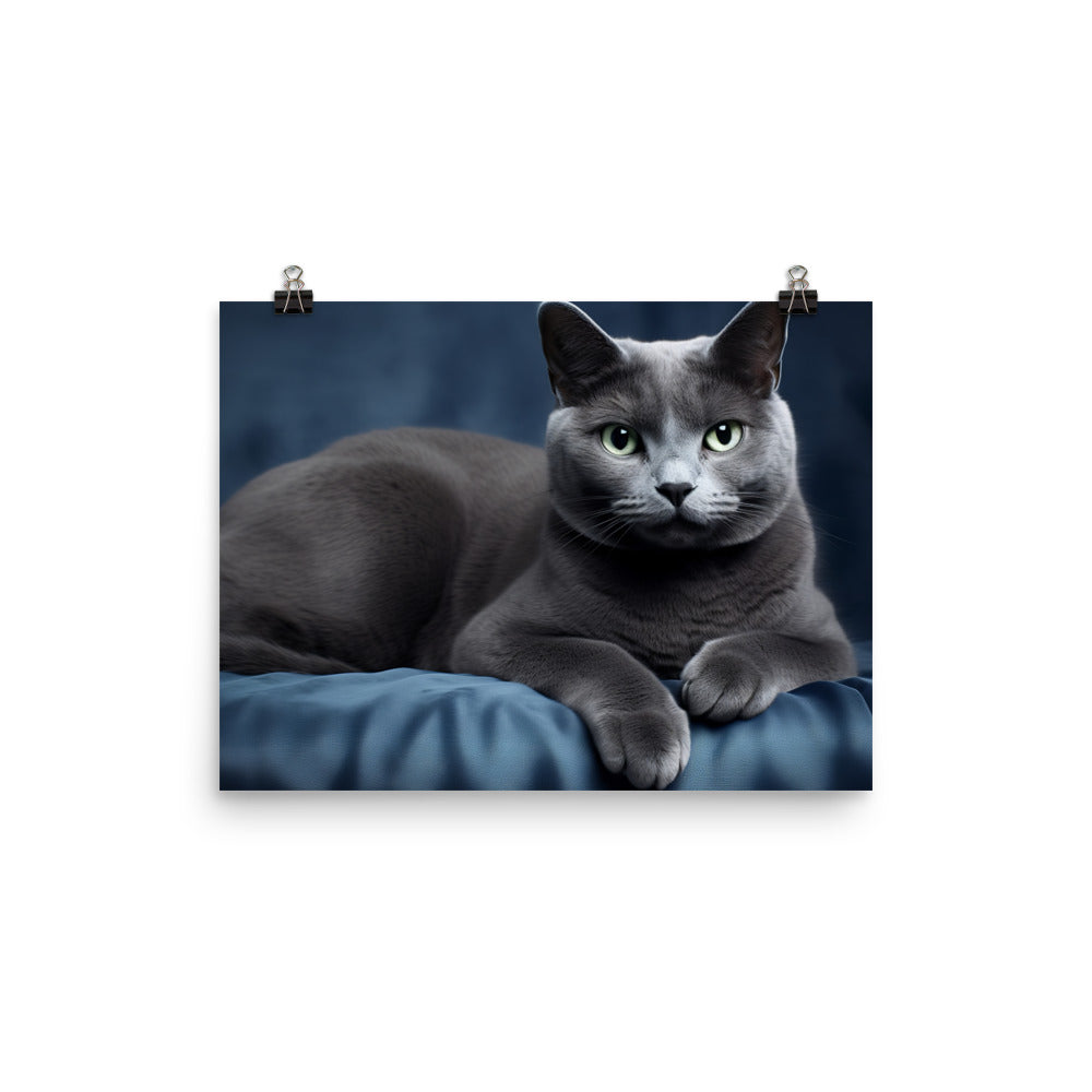 Russian Blue Photo paper poster - PosterfyAI.com