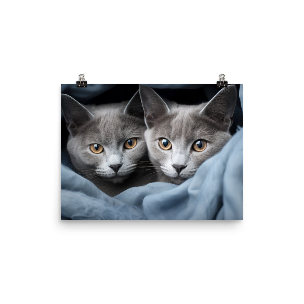 Russian Blue Photo paper poster - PosterfyAI.com