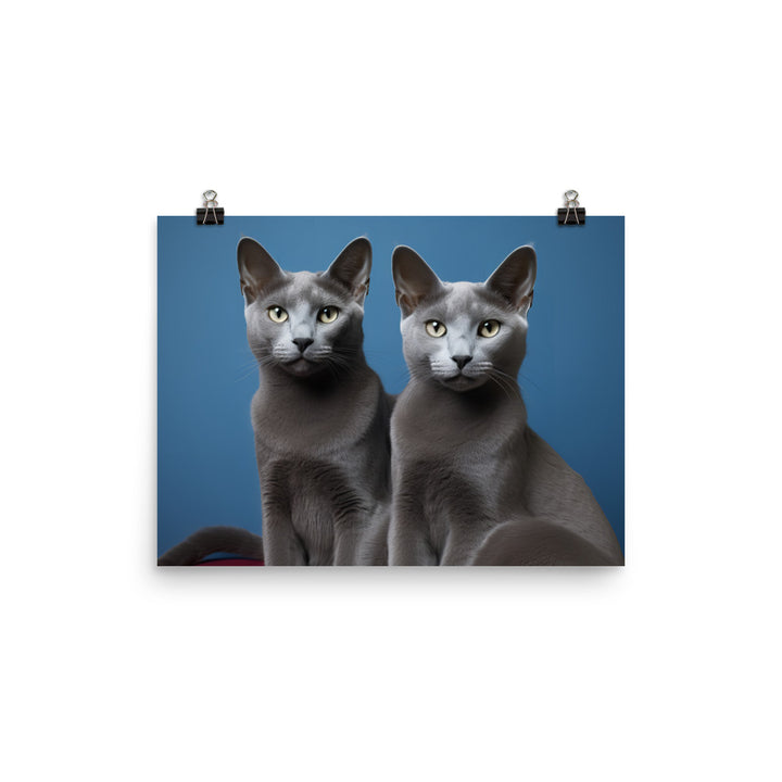 Russian Blue Photo paper poster - PosterfyAI.com