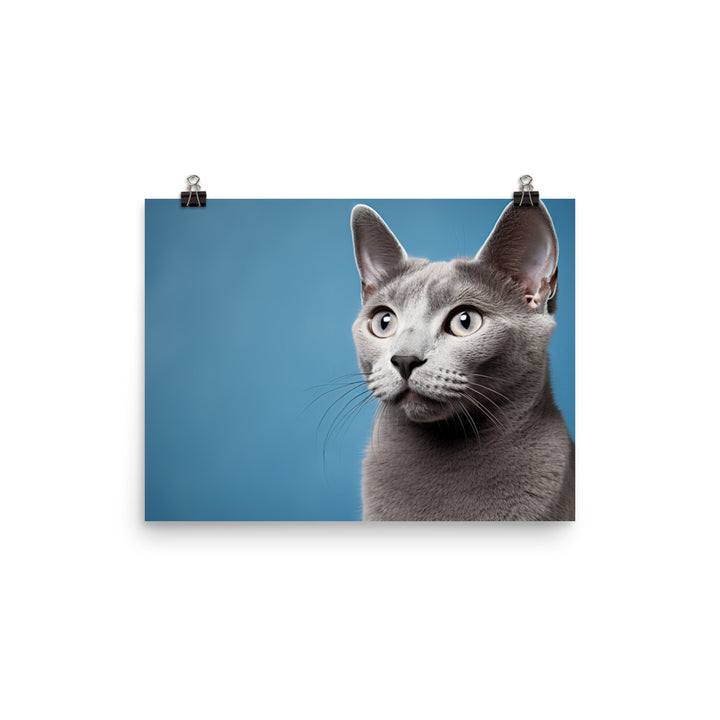 Russian Blue photo paper poster - PosterfyAI.com