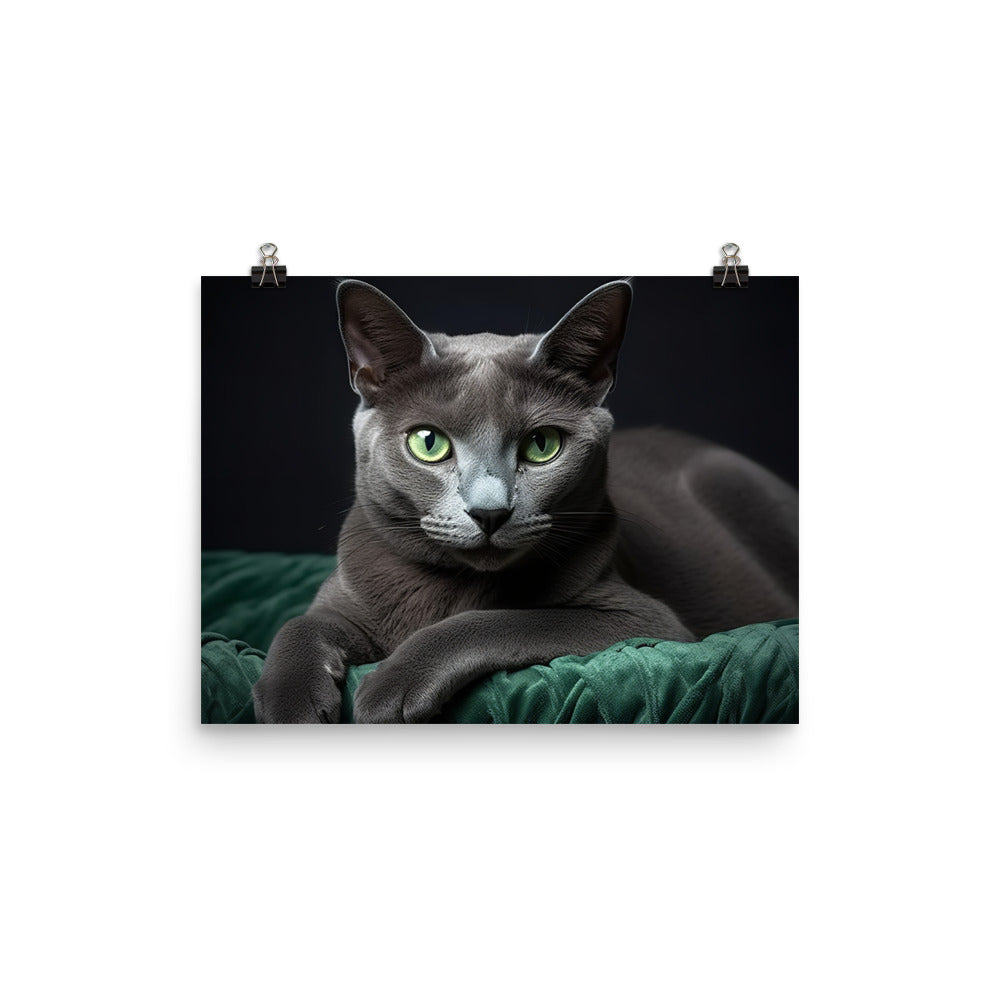 Russian Blue Photo paper poster - PosterfyAI.com