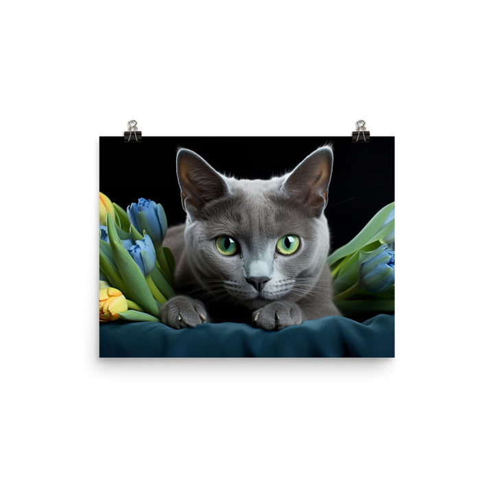 Russian Blue Photo paper poster - PosterfyAI.com