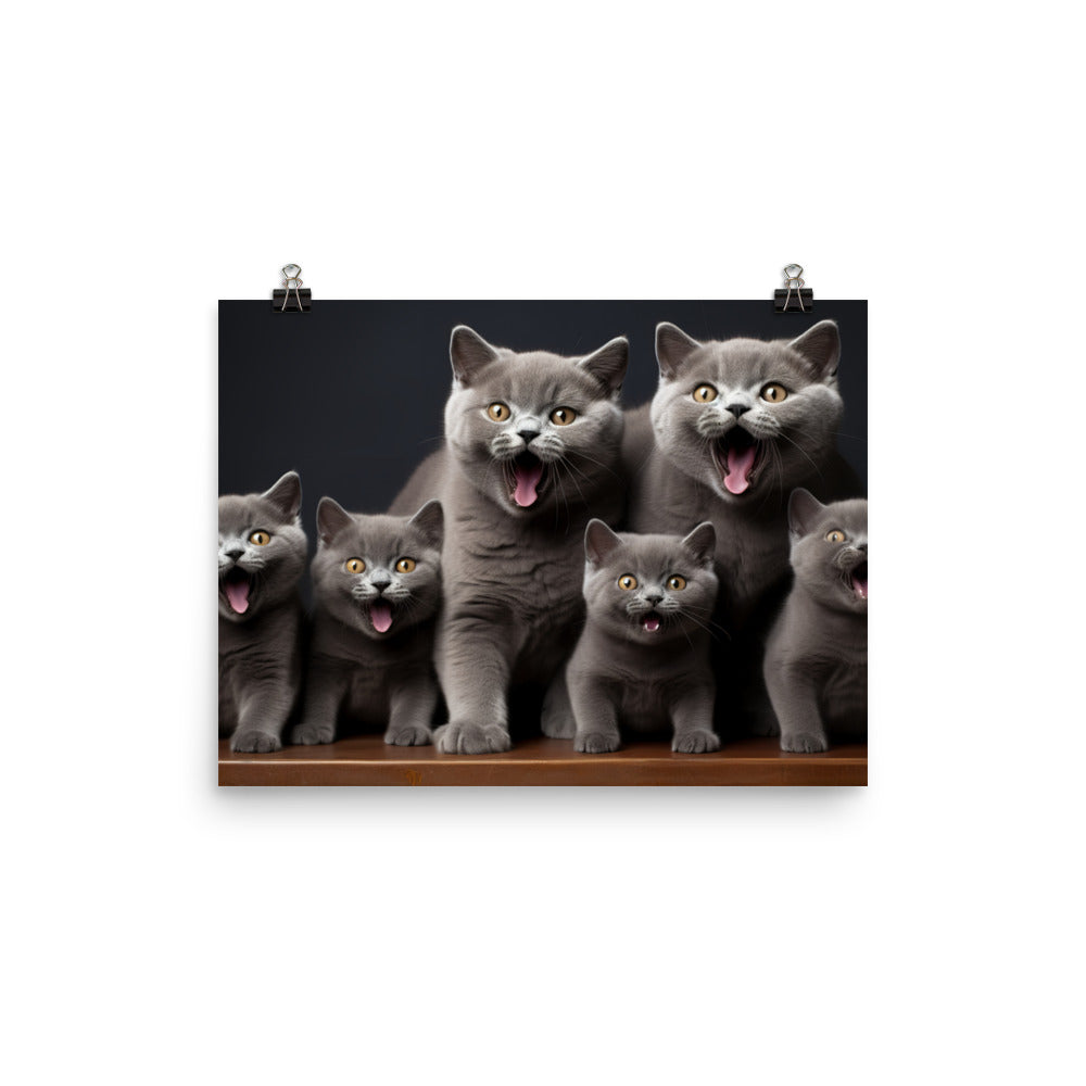 British Shorthair Photo paper poster - PosterfyAI.com