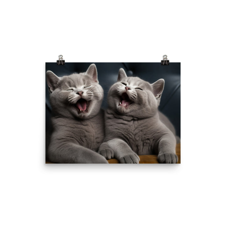 British Shorthair Photo paper poster - PosterfyAI.com