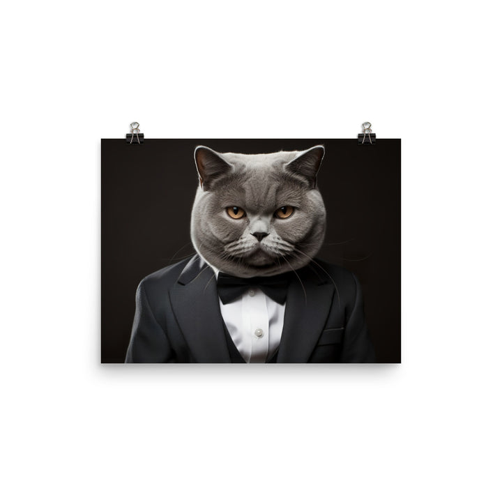 British Shorthair Photo paper poster - PosterfyAI.com