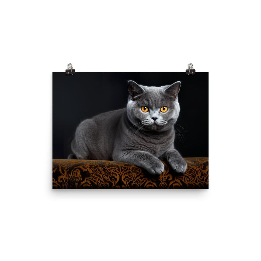 British Shorthair Photo paper poster - PosterfyAI.com