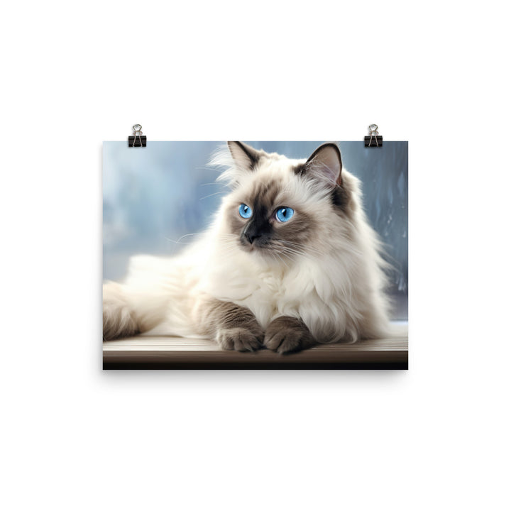 Birman Photo paper poster - PosterfyAI.com