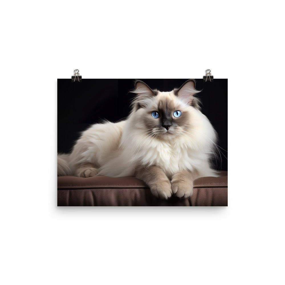 Birman Photo paper poster - PosterfyAI.com