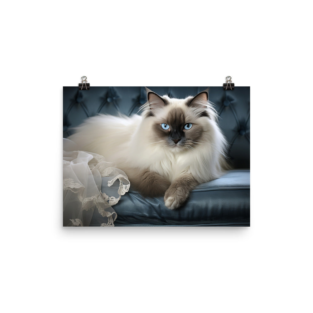 Birman Photo paper poster - PosterfyAI.com