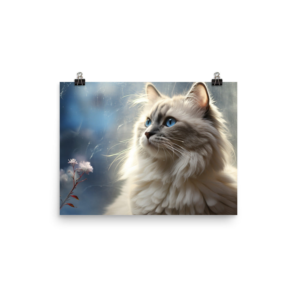 Birman Photo paper poster - PosterfyAI.com