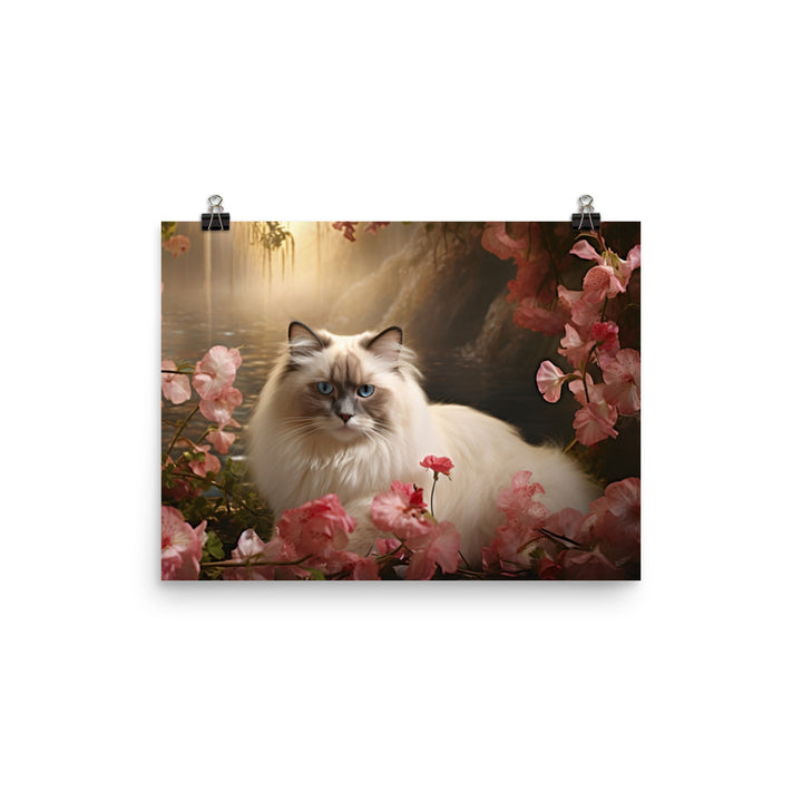 Birman Photo paper poster - PosterfyAI.com