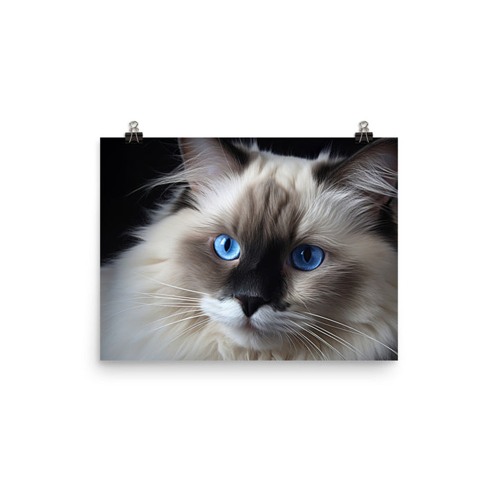 Birman Photo paper poster - PosterfyAI.com