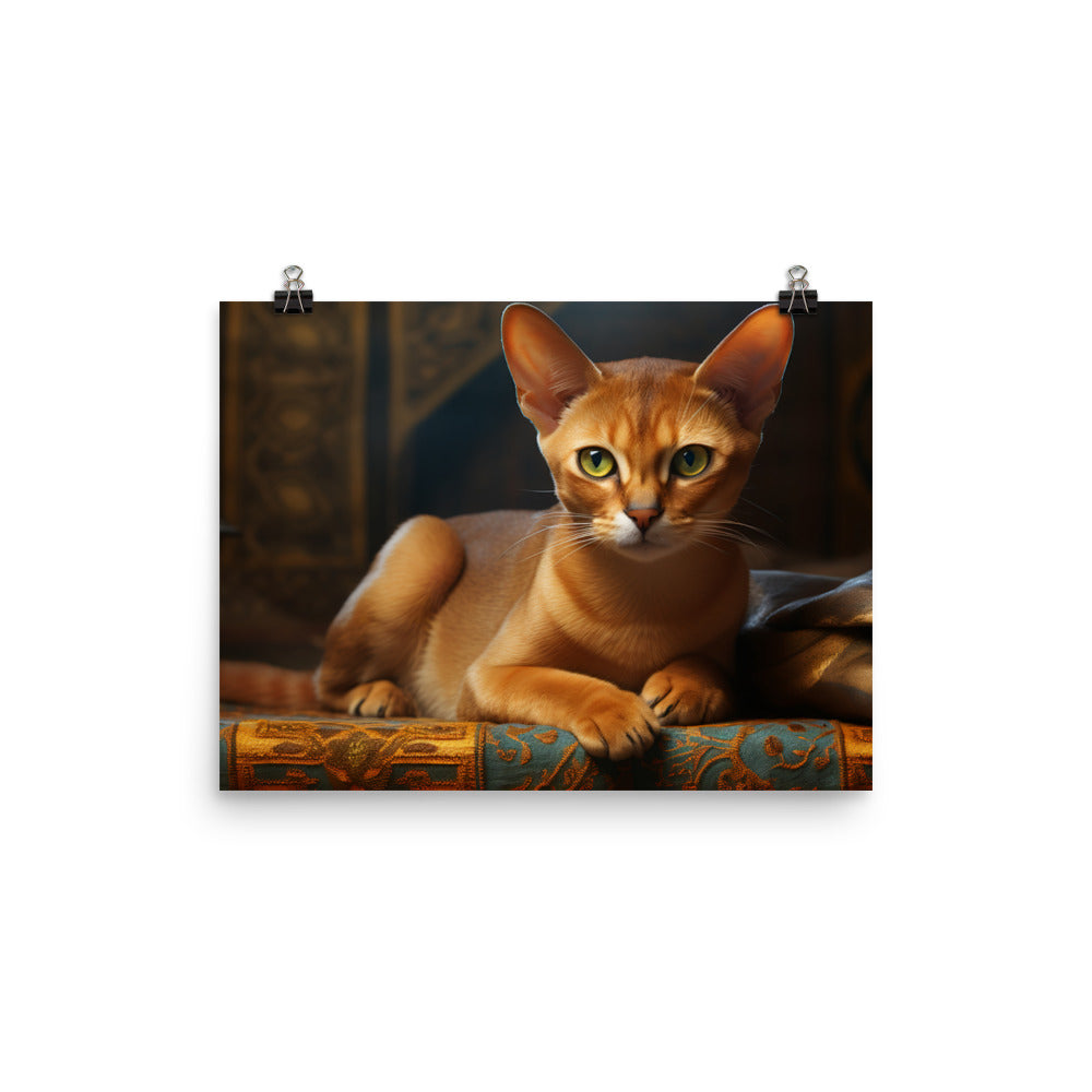 Abyssinian Photo paper poster - PosterfyAI.com