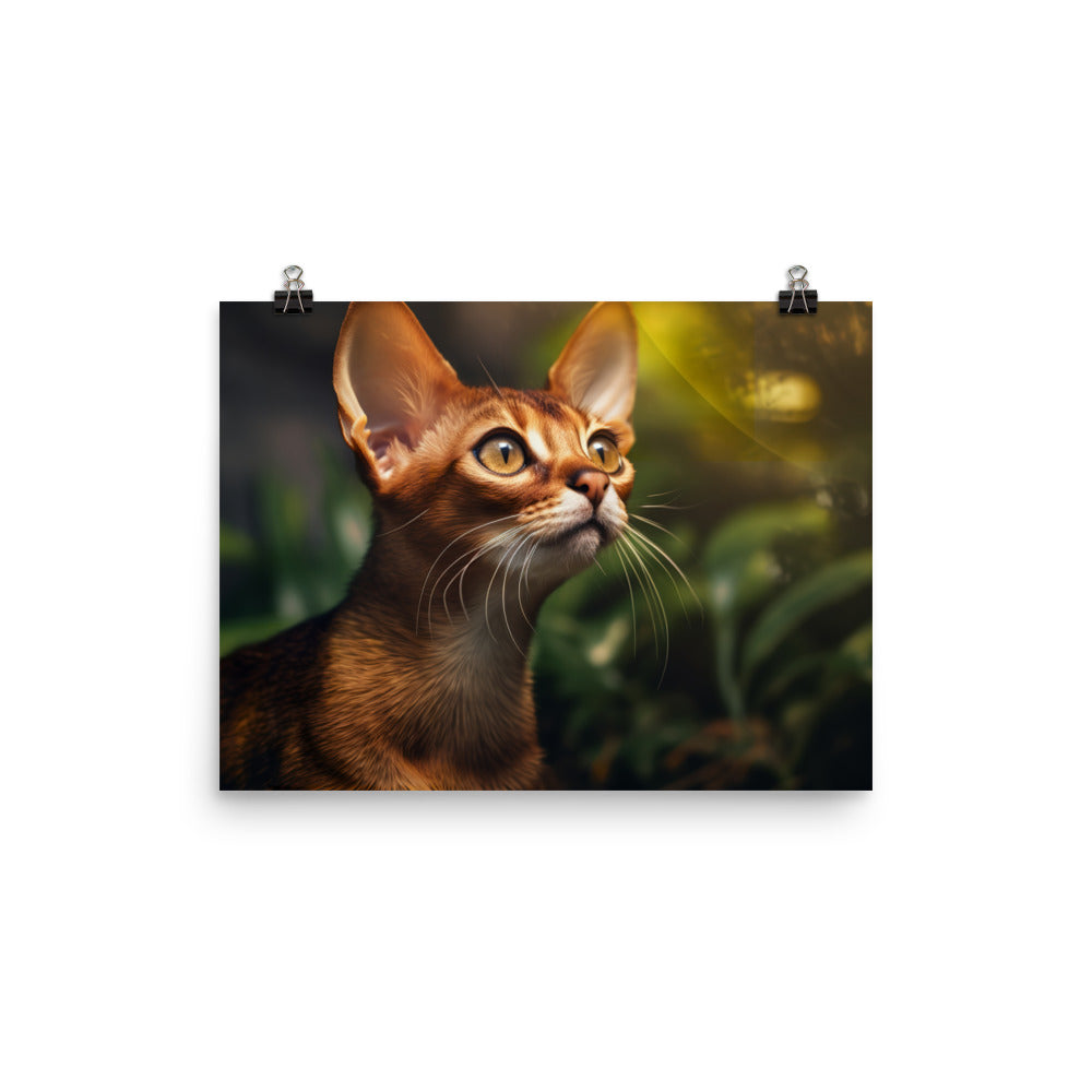 Abyssinian Photo paper poster - PosterfyAI.com