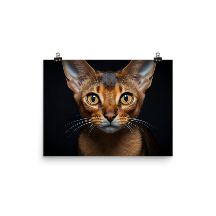 Abyssinian Photo paper poster - PosterfyAI.com