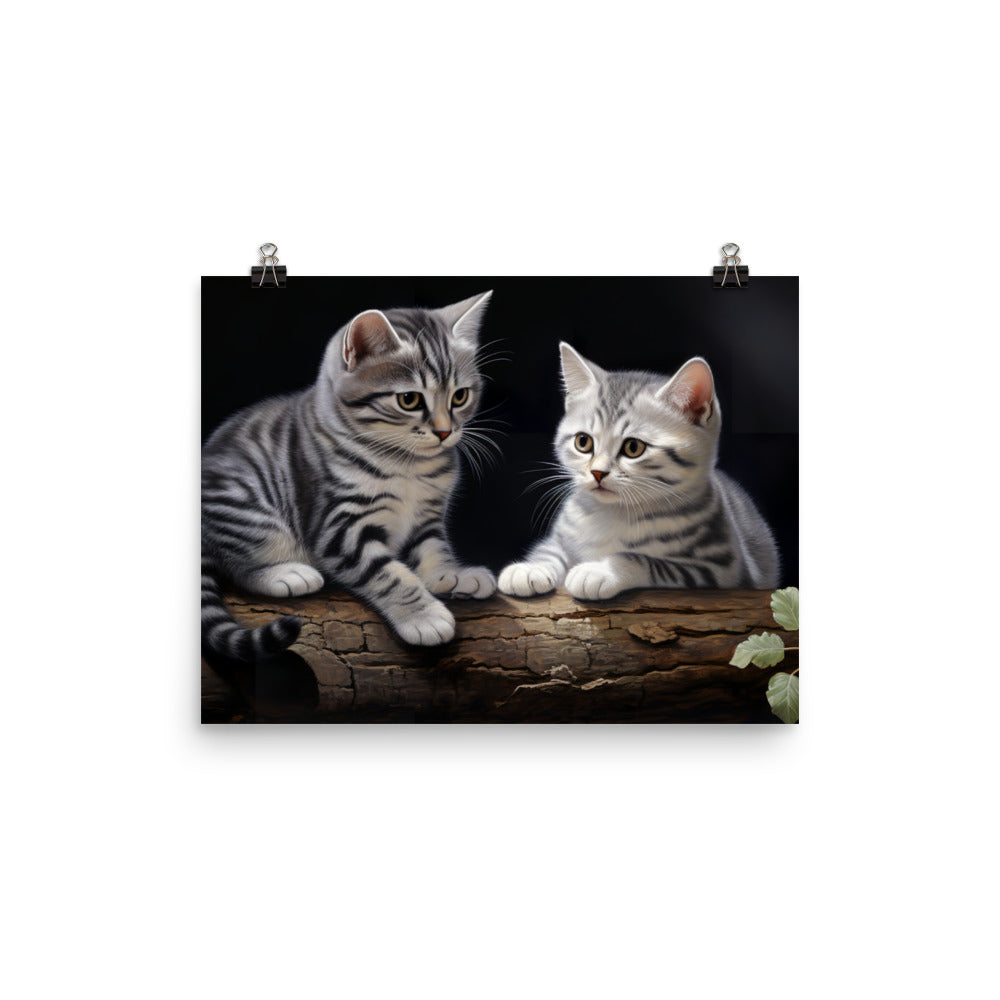 American Shorthair Photo paper poster - PosterfyAI.com