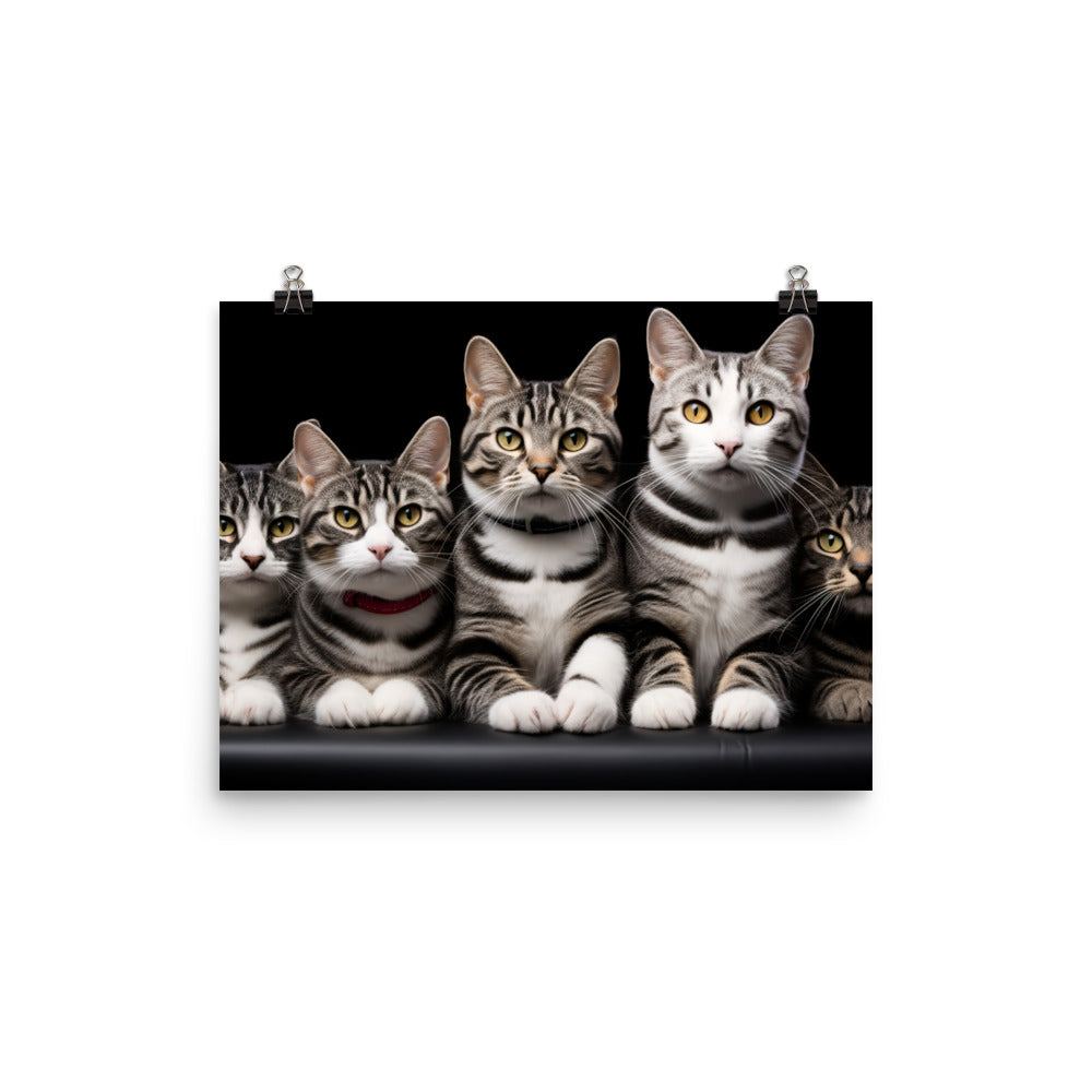 American Shorthair Photo paper poster - PosterfyAI.com