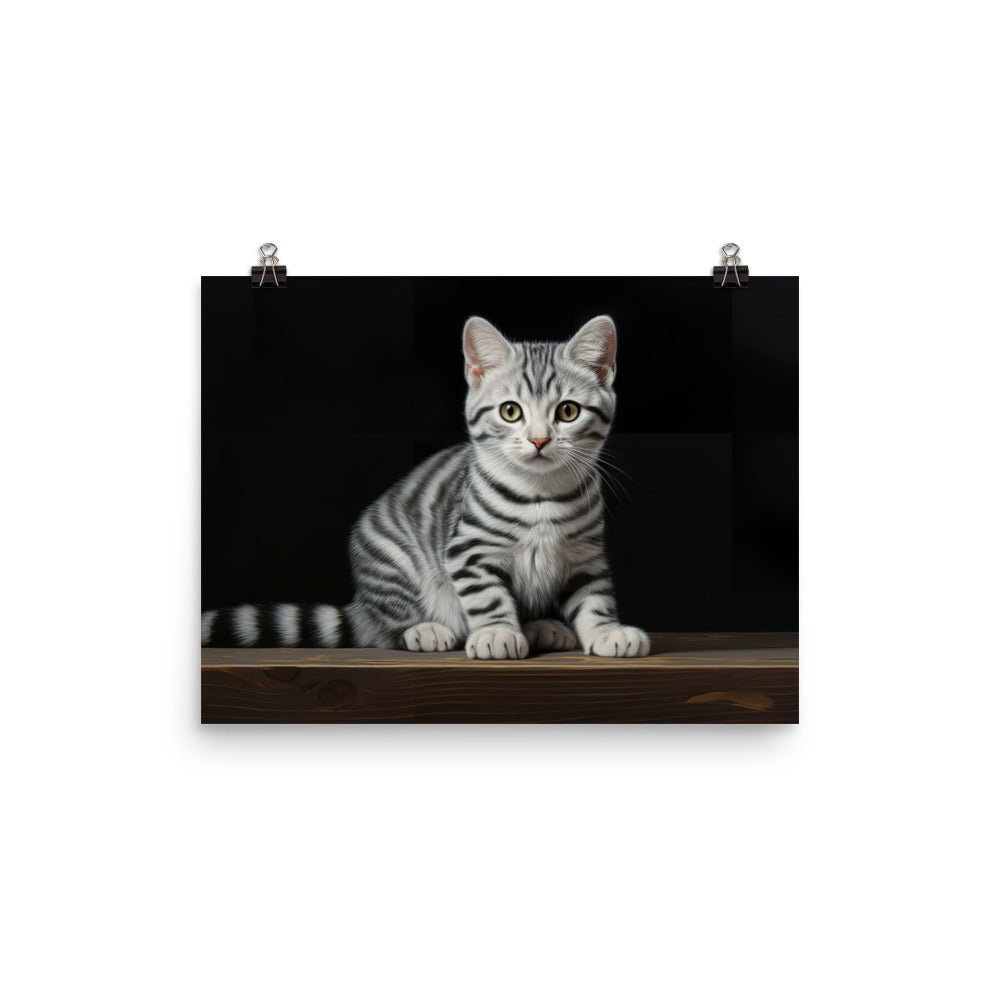 American Shorthair Photo paper poster - PosterfyAI.com