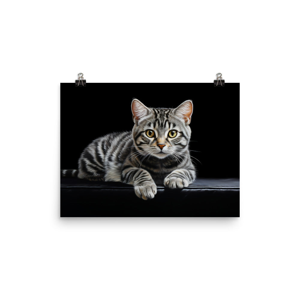 American Shorthair Photo paper poster - PosterfyAI.com