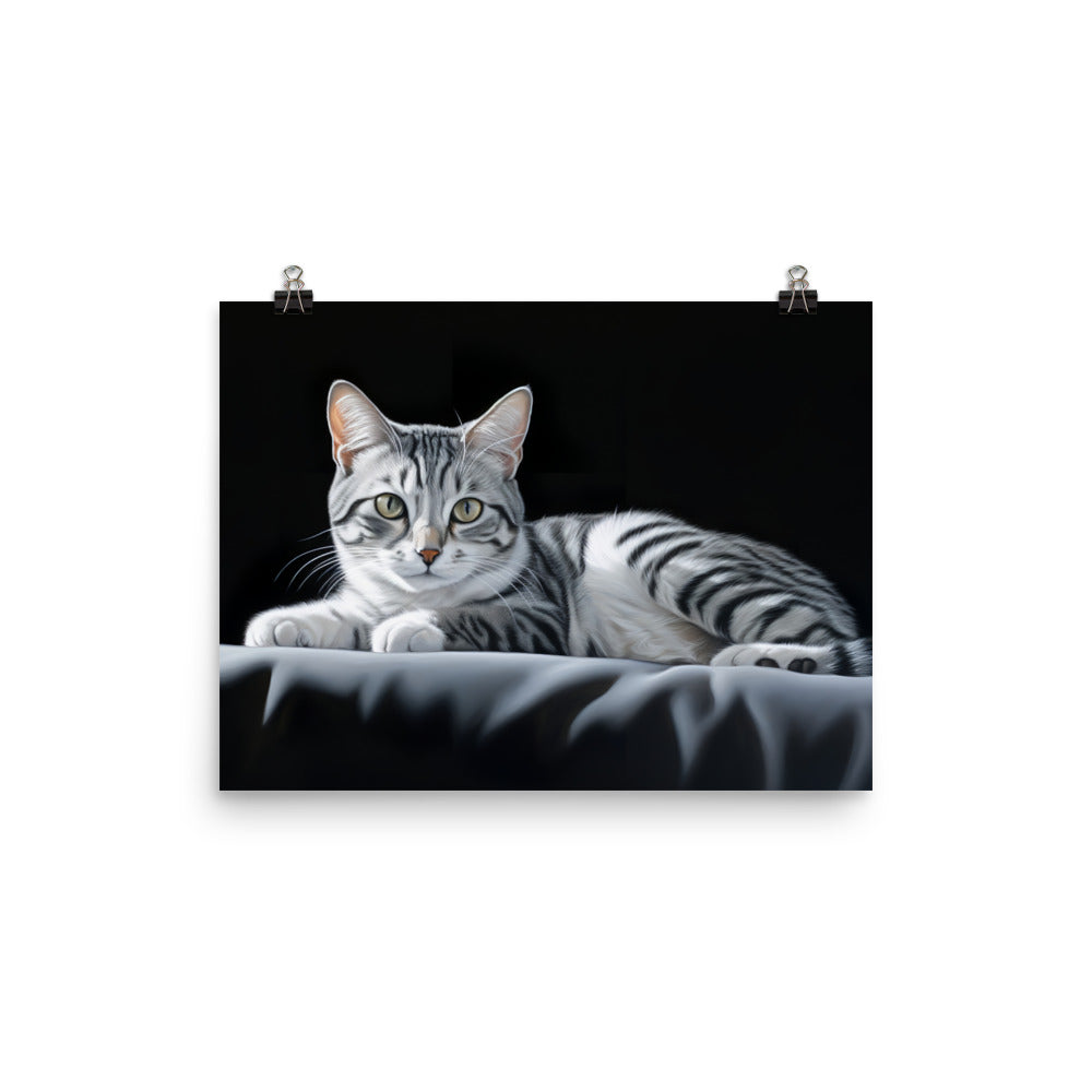 American Shorthair Photo paper poster - PosterfyAI.com