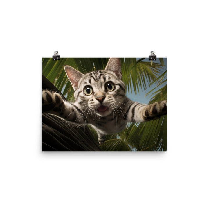 American Shorthair Photo paper poster - PosterfyAI.com