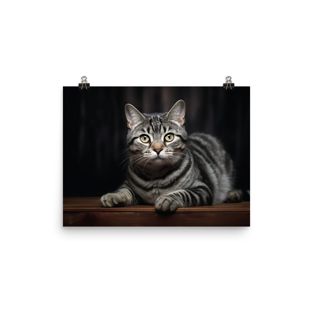 American Shorthair Photo paper poster - PosterfyAI.com