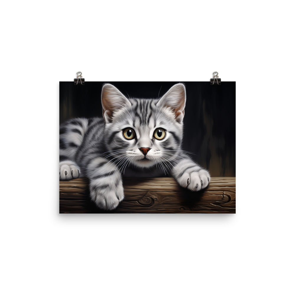 American Shorthair Photo paper poster - PosterfyAI.com