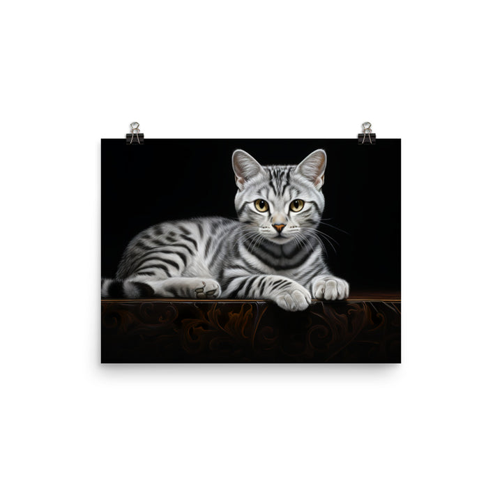 American Shorthair Photo paper poster - PosterfyAI.com