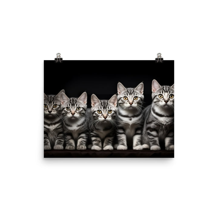 American Shorthair Photo paper poster - PosterfyAI.com