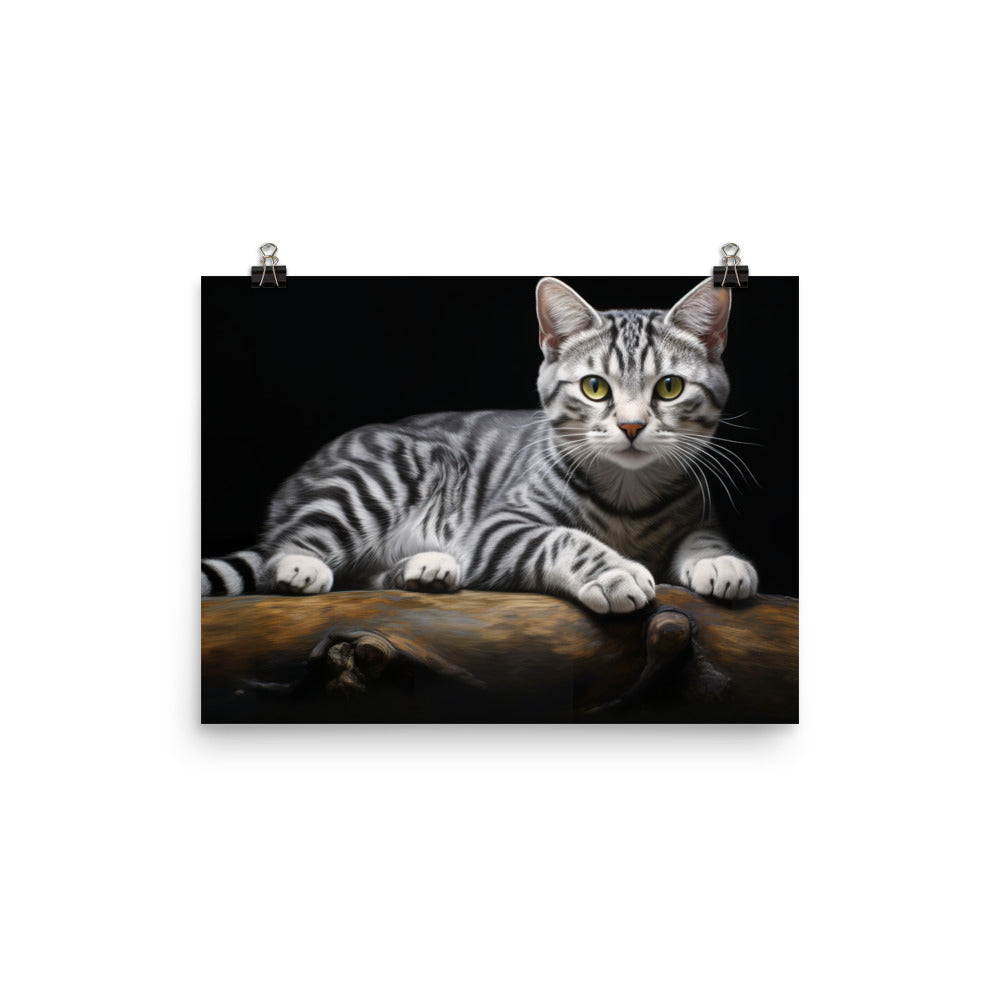 American Shorthair Photo paper poster - PosterfyAI.com