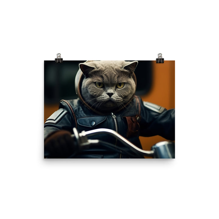 British Shorthair Superbike Athlete Photo paper poster - PosterfyAI.com