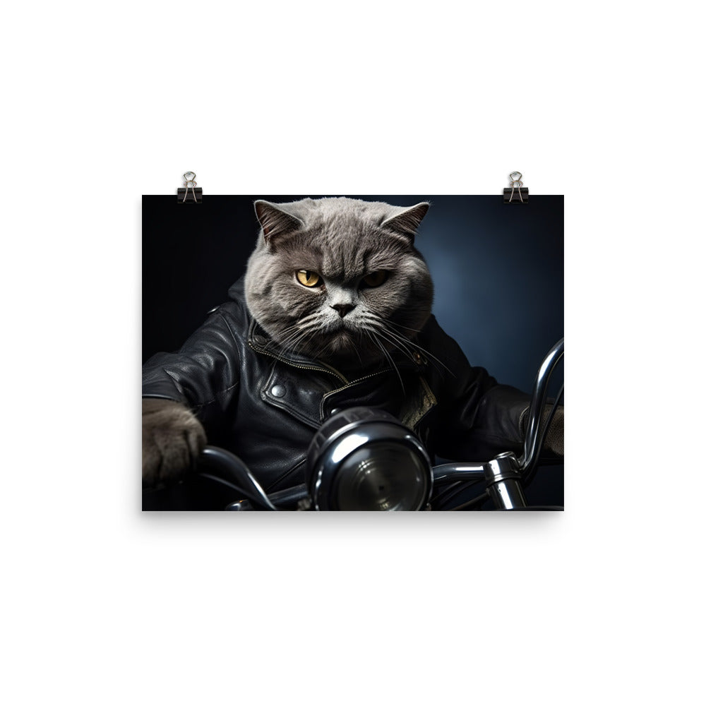 British Shorthair Superbike Athlete Photo paper poster - PosterfyAI.com