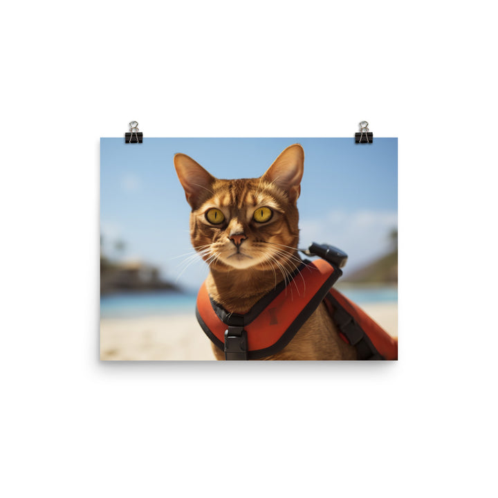 Abyssinian Lifeguard Photo paper poster - PosterfyAI.com