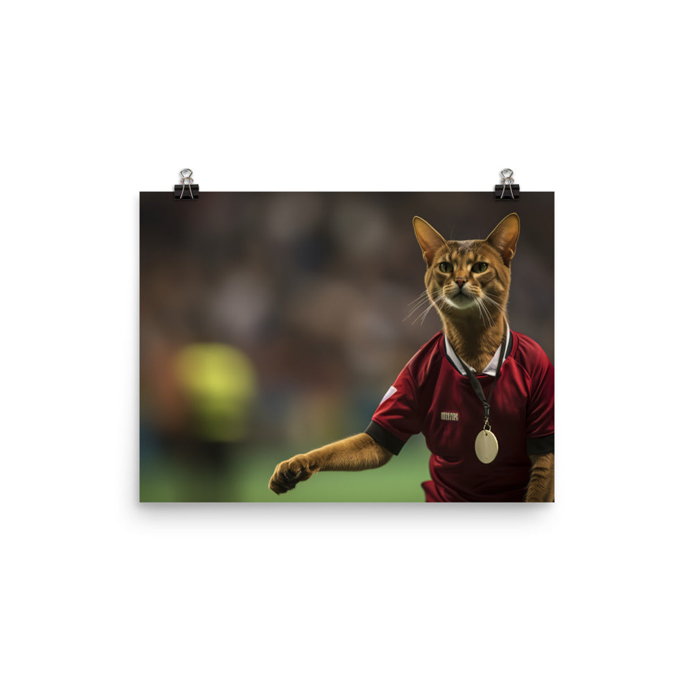 Abyssinian Referee Photo paper poster - PosterfyAI.com