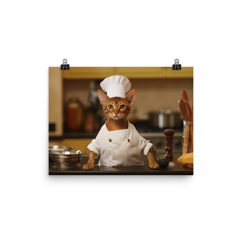 Abyssinian Chef Photo paper poster - PosterfyAI.com