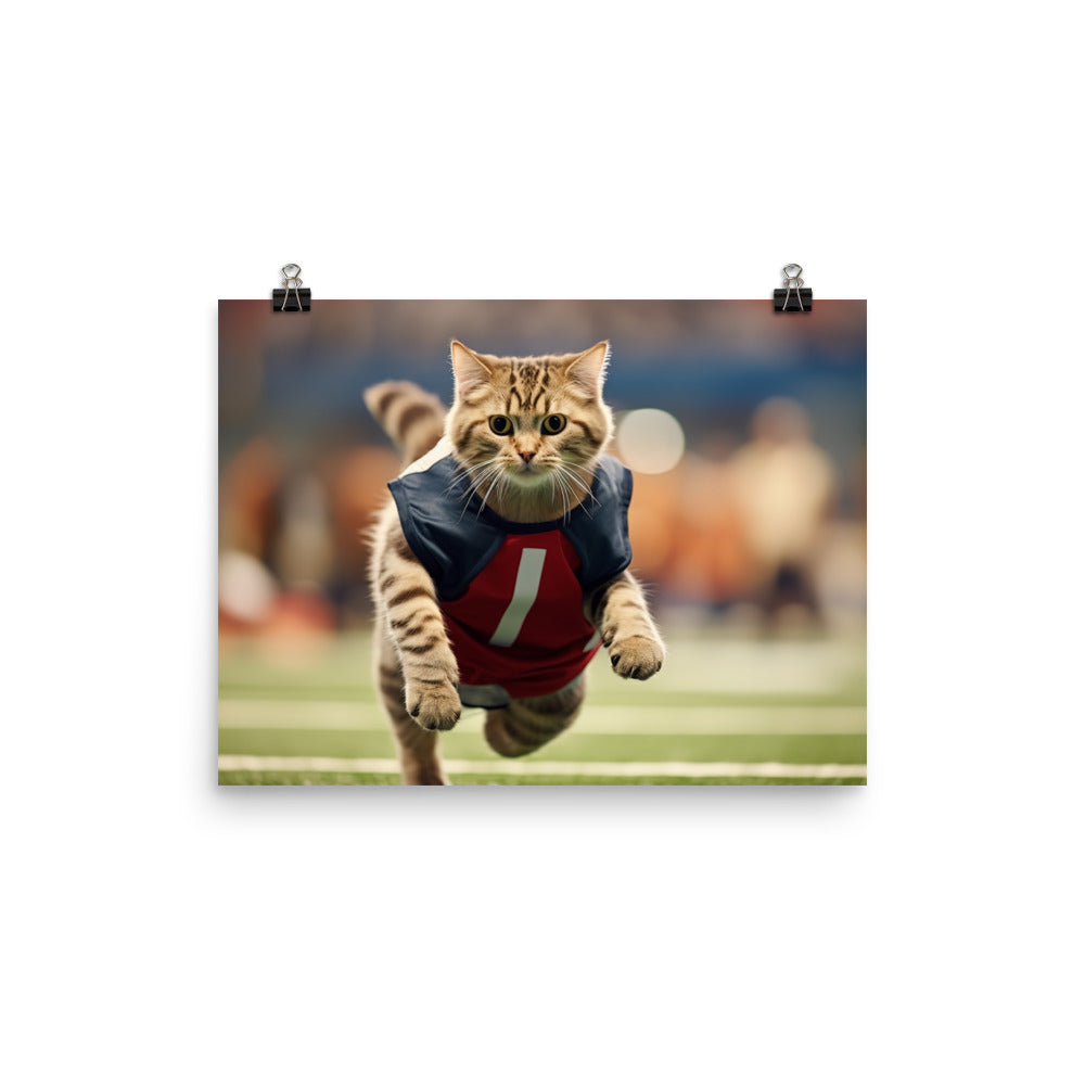 Scottish Fold Football Player Photo paper poster - PosterfyAI.com