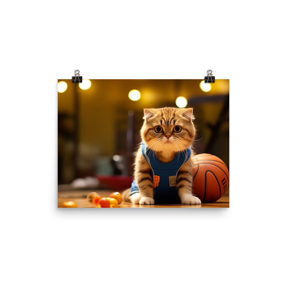 Scottish Fold Basketball Player Photo paper poster - PosterfyAI.com