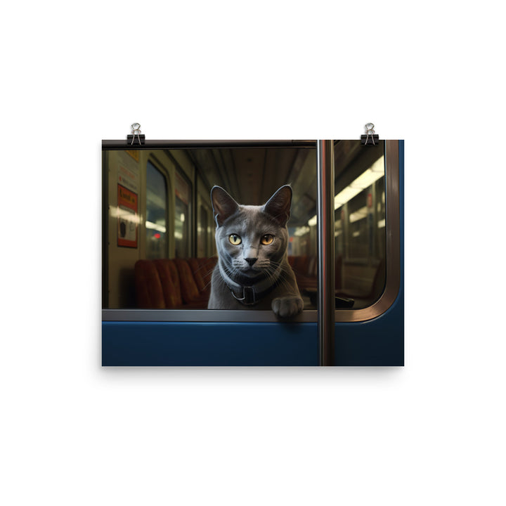 Russian Blue Transit Operator Photo paper poster - PosterfyAI.com