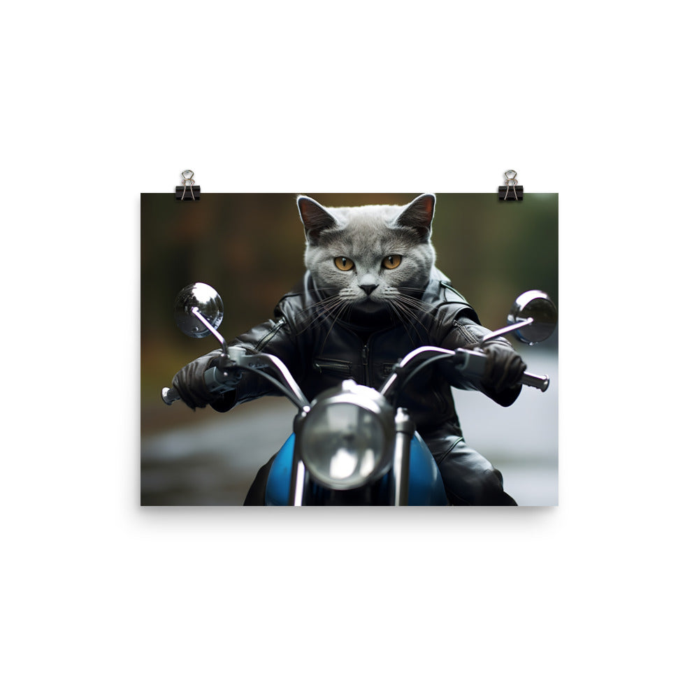 Russian Blue Superbike Athlete Photo paper poster - PosterfyAI.com