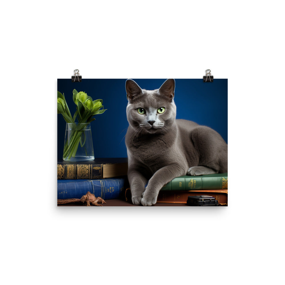 Russian Blue Student Photo paper poster - PosterfyAI.com