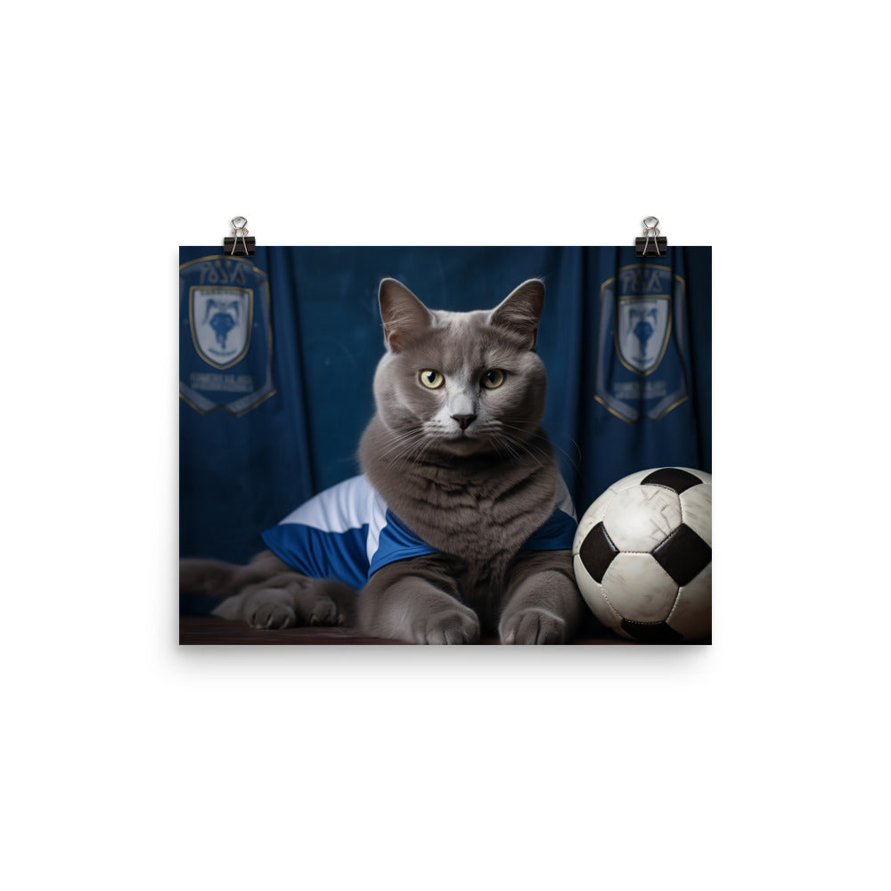 Russian Blue Football Player Photo paper poster - PosterfyAI.com